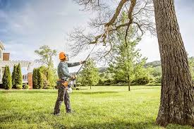 Best Lawn Disease Treatment  in Shelter Island Heights, NY
