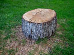 Best Leaf Removal  in Shelter Island Heights, NY