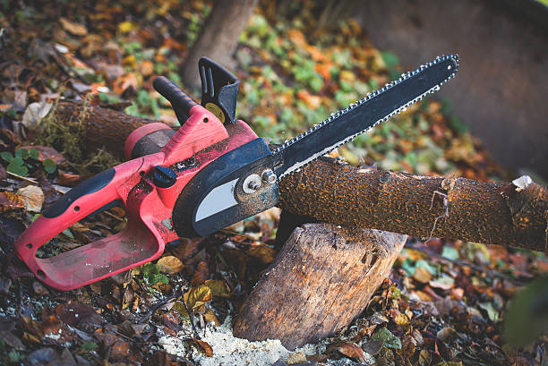 Best Tree Risk Assessment  in Shelter Island Heights, NY